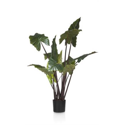 Coco Maison Colocasia H130cm